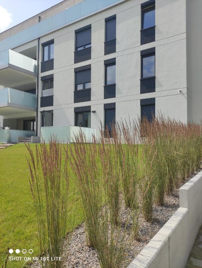Apartament Tecza เรวัล ภายนอก รูปภาพ